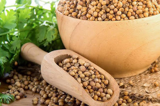 Coriander Seeds